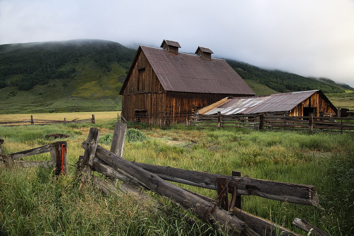 D85_6427.jpg