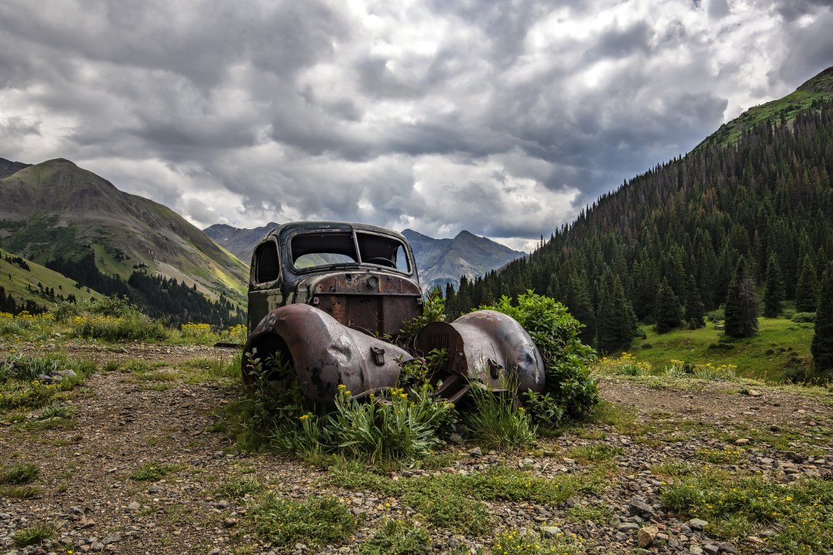 D85_9054.jpg