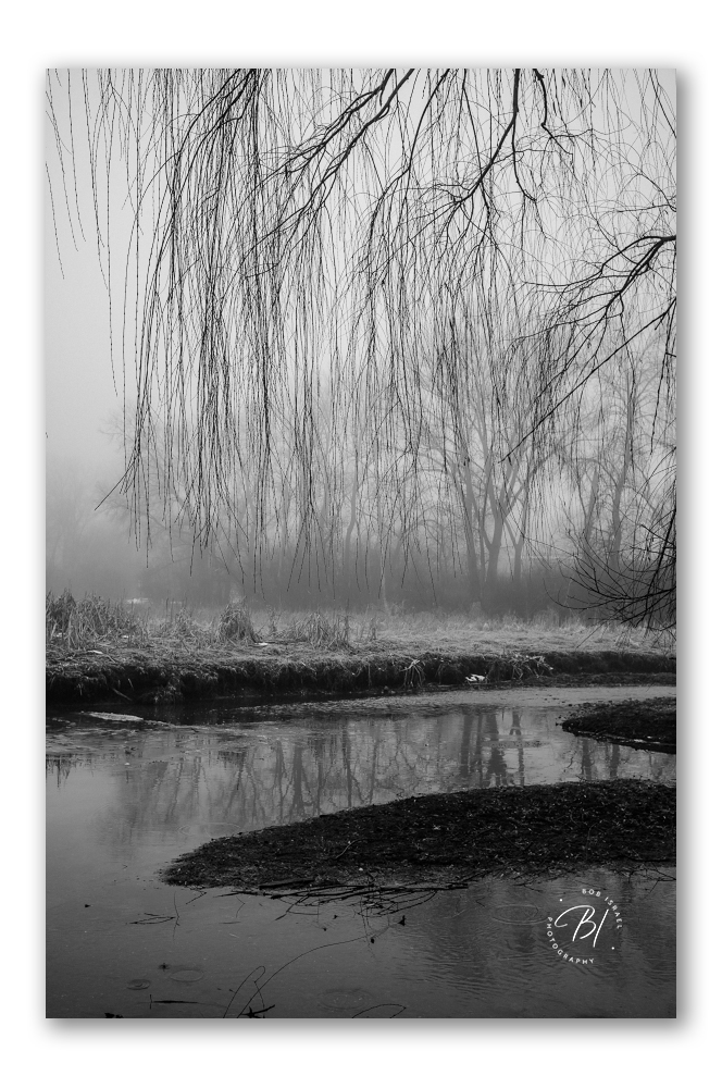 Daily Wanderings 030426-11_Original ratio_664x1000_U_100.jpg