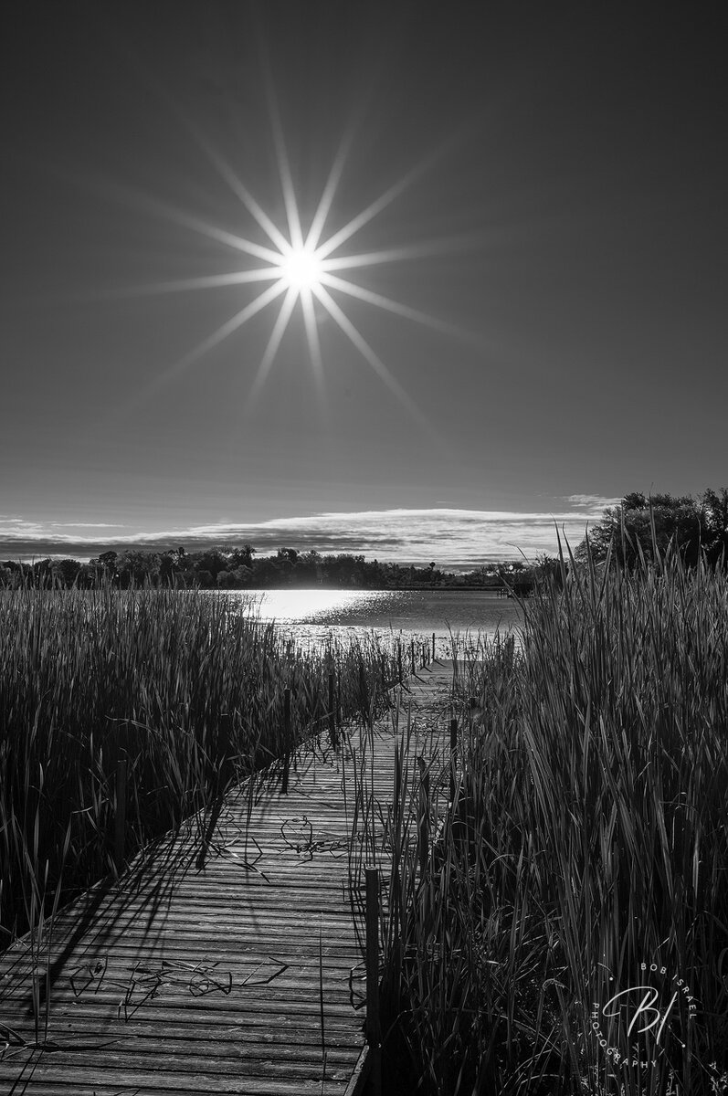 sunstars-focal-world