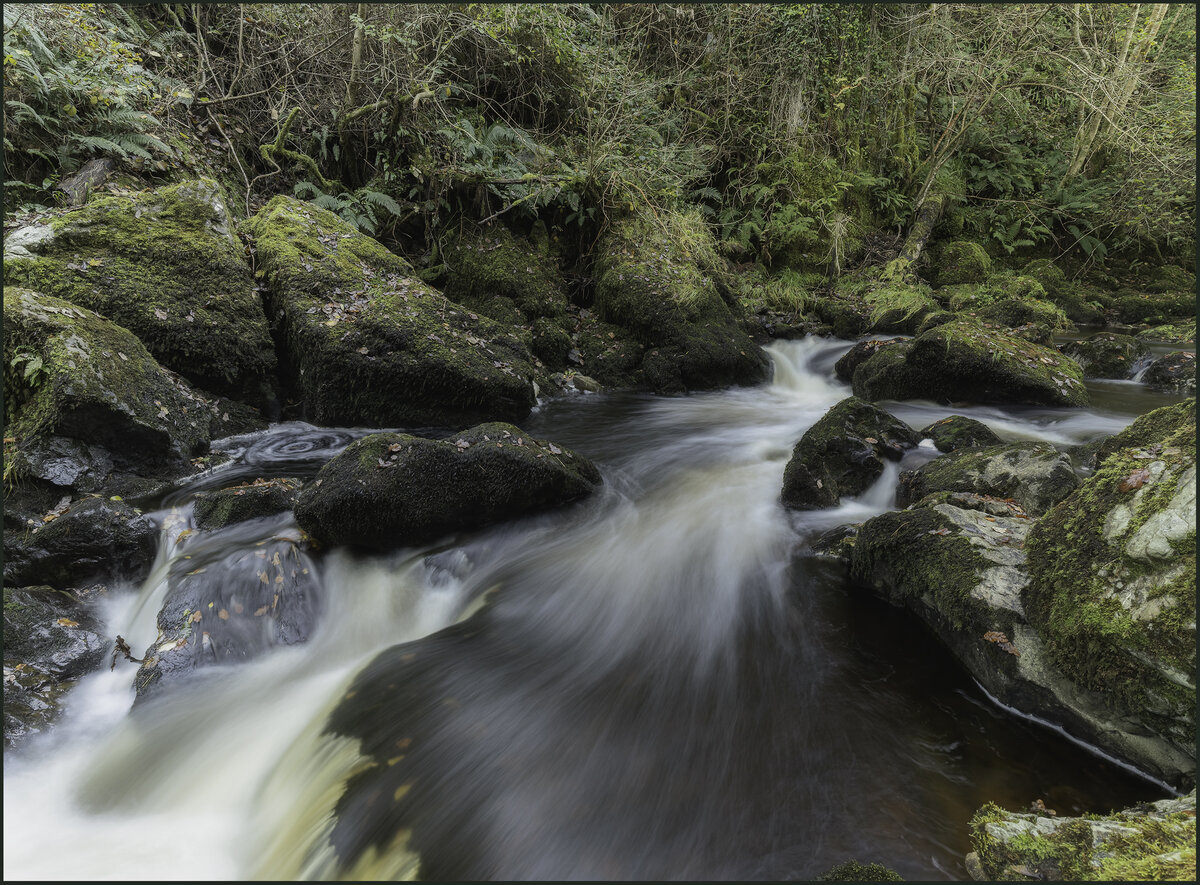 Dargle River 3.jpg