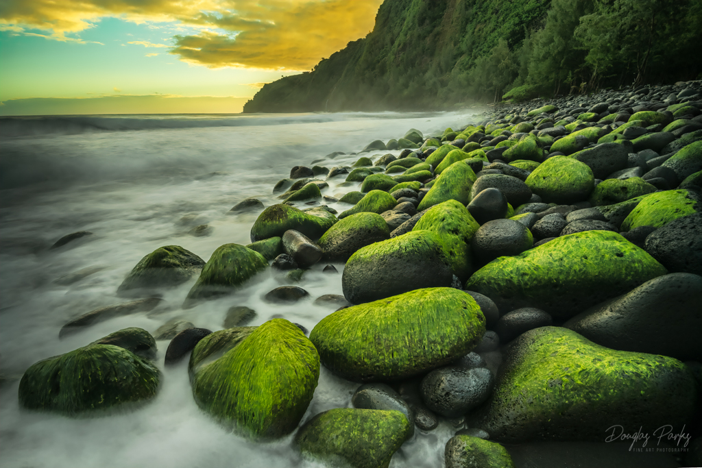 Dawn at the Waipio.jpg