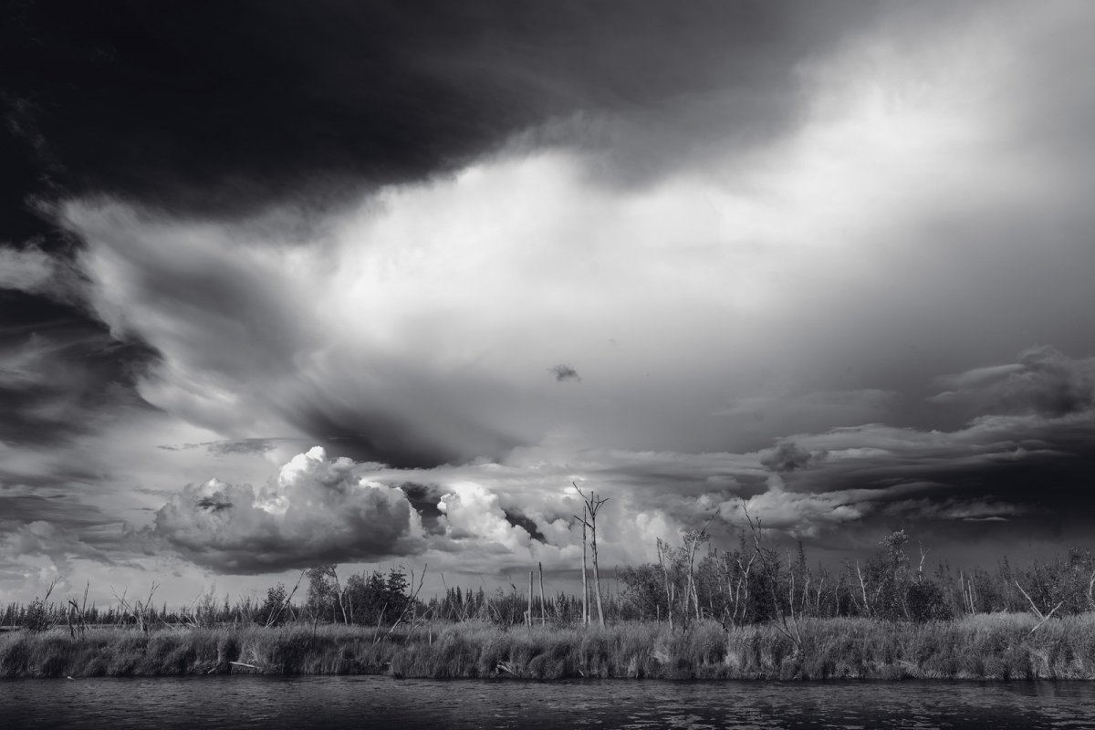 Dead-Forest-B&W-2-20x16-Slickrock-Pearl.jpg