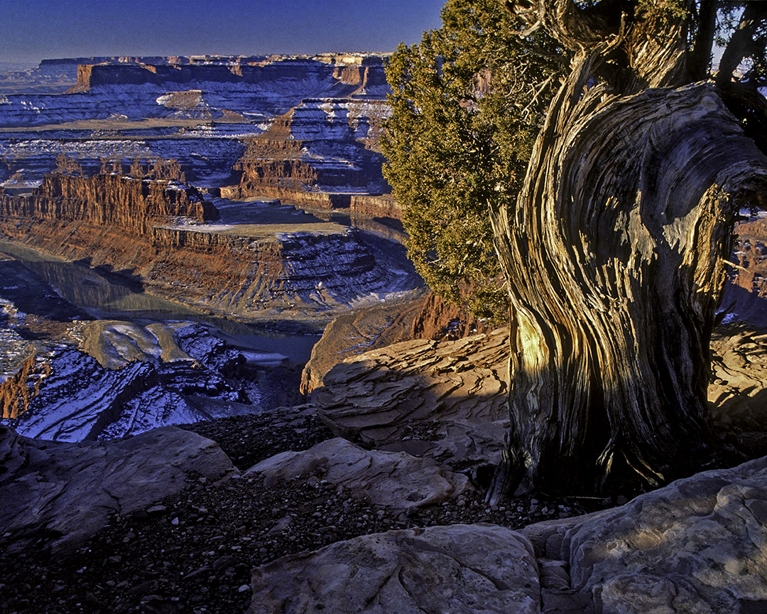 Dead Horse Point State Park, UT.jpg
