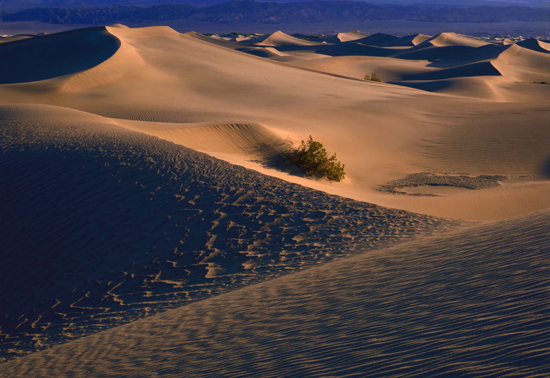 Death Valley, Ca..JPG