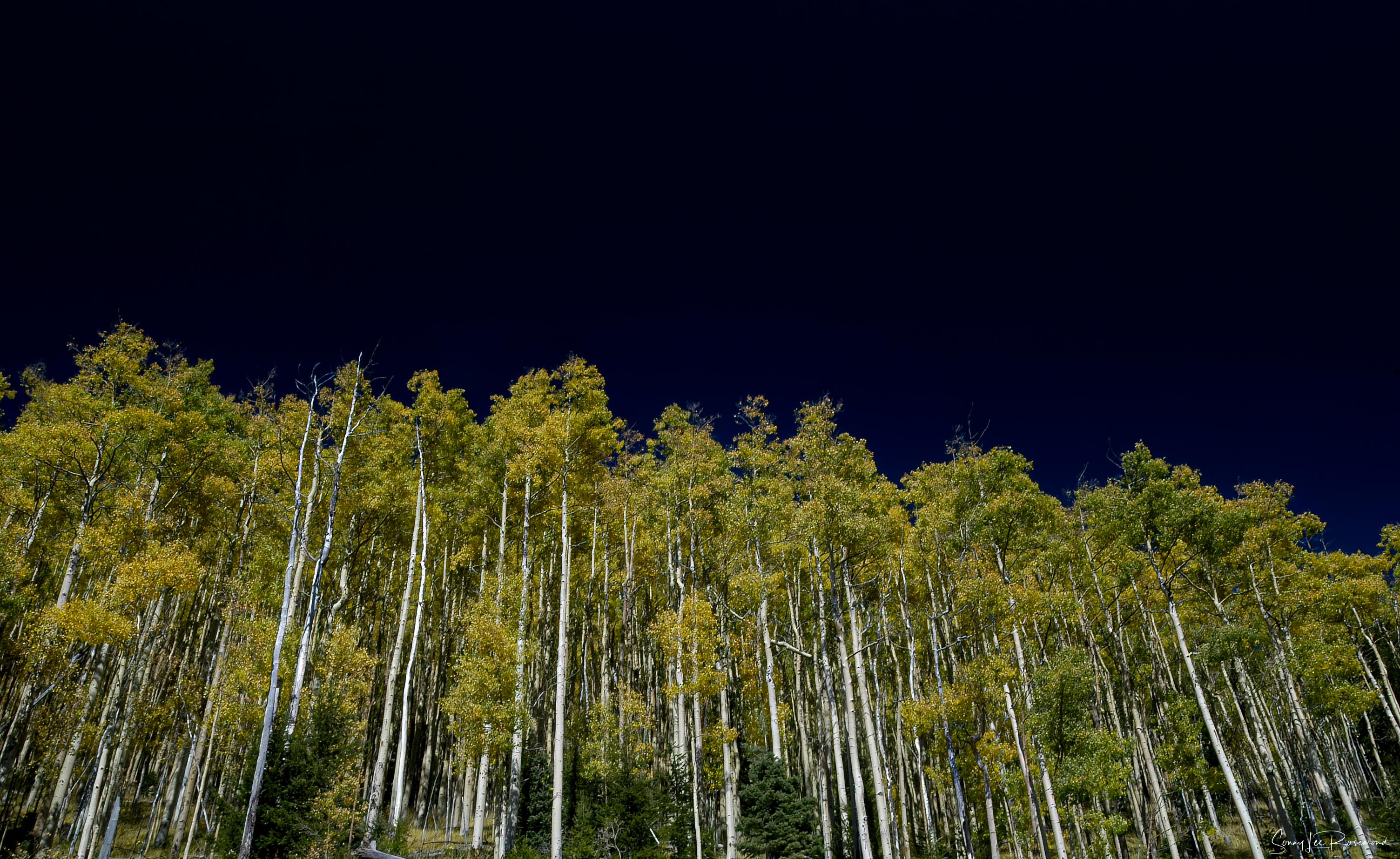 deep_blue-1.jpg
