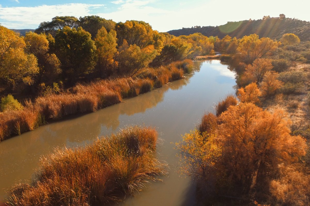 DJI_0027-2.JPG