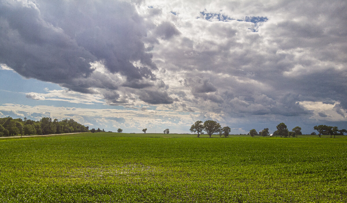 DJI_0177.jpg