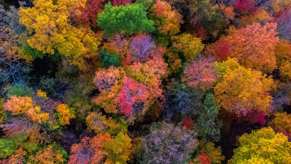 DJI_08552_dw.jpg