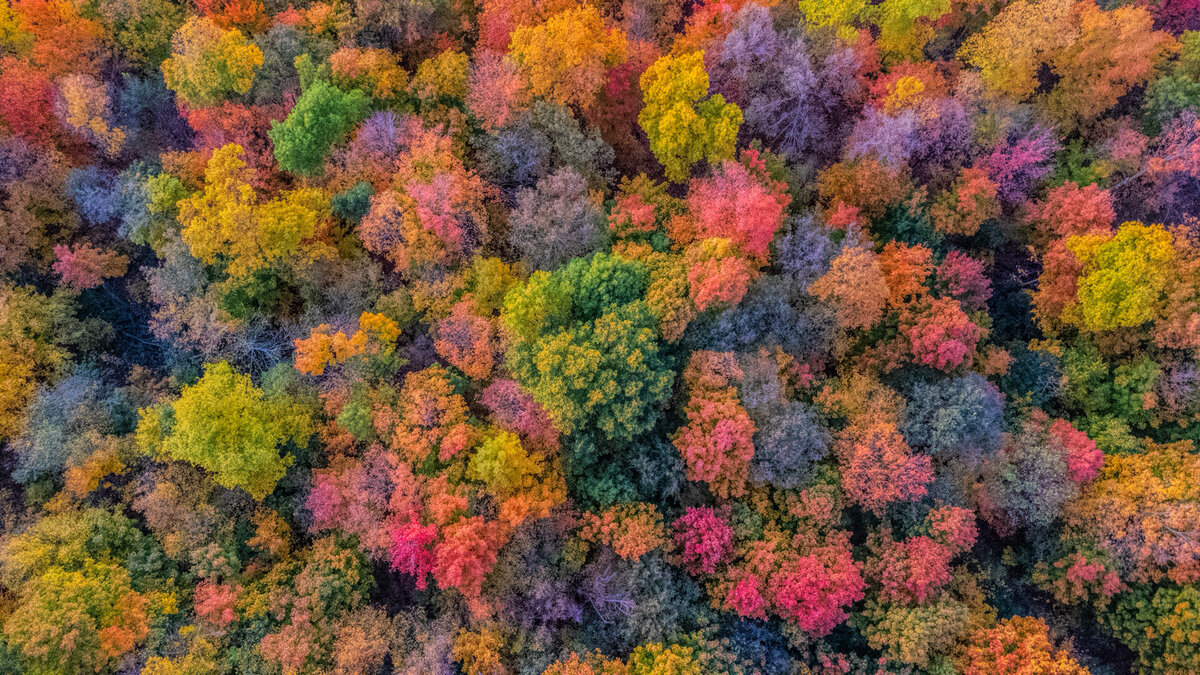 DJI_0882_dpw.jpg