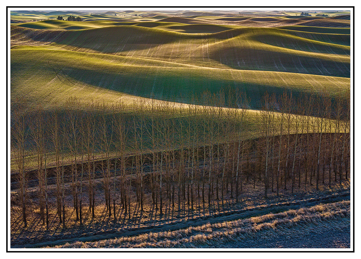 DJI_20250405070945_0329.jpg
