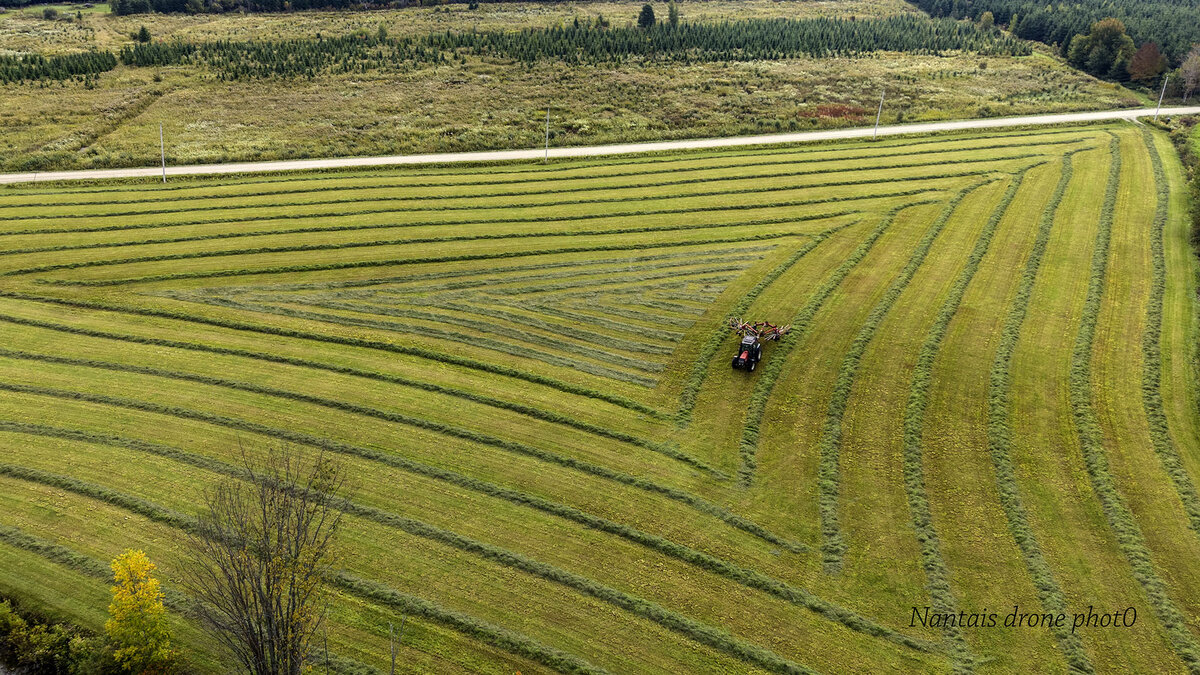 DJI_20260917112345_0008_Ds.jpg