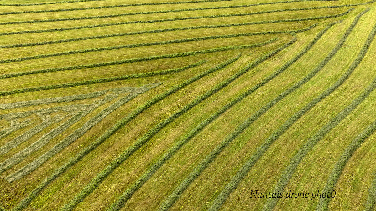 DJI_20260917112536_0012_Ds.jpg