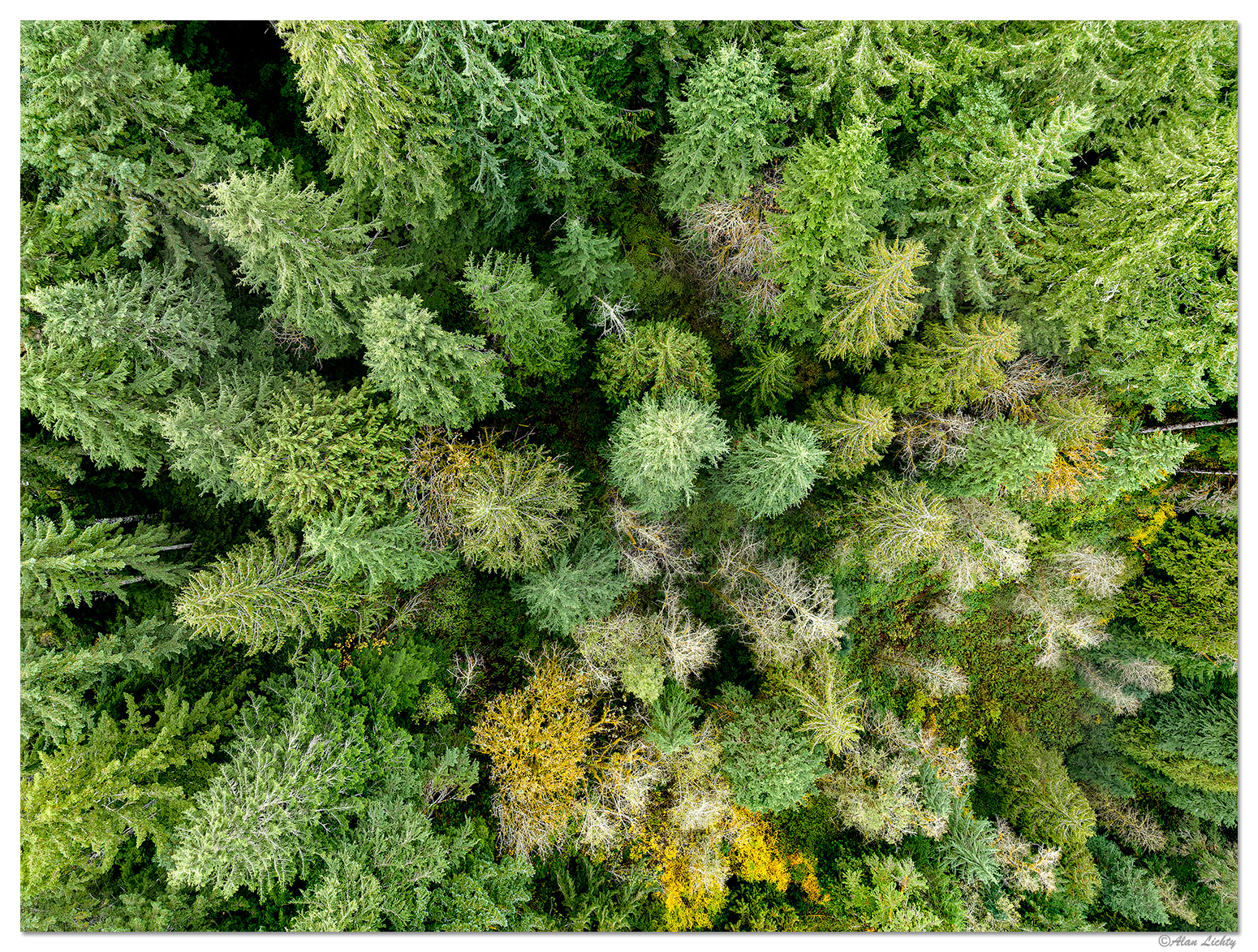 DJI_M3-SiuslawBelow.jpg