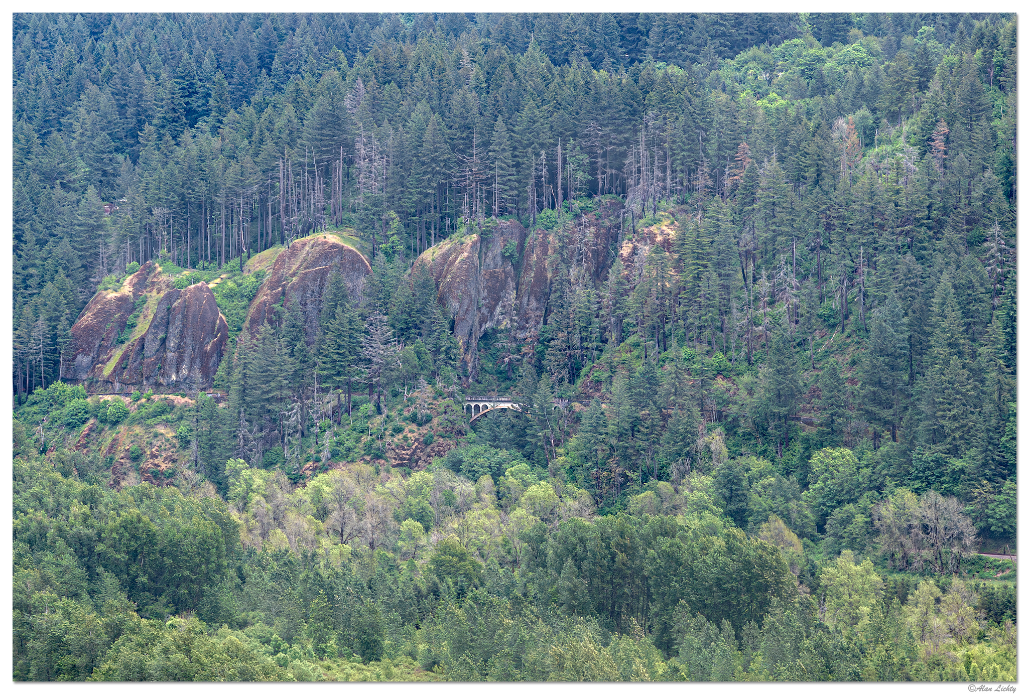 DJI_M3P_166-ShepperdsDell.jpg