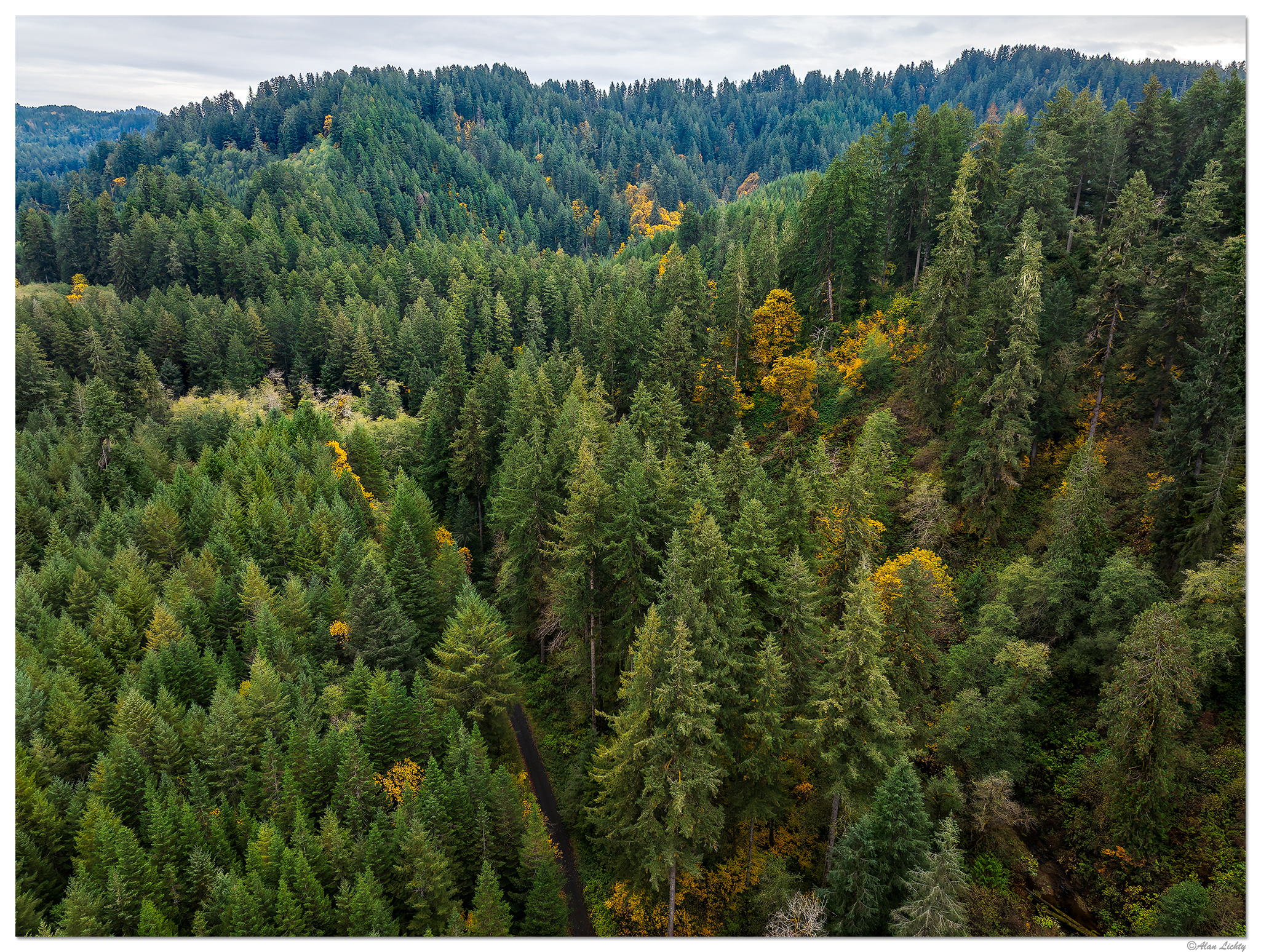 DJI_M3P_24_SCR-NFRd1102825.jpg