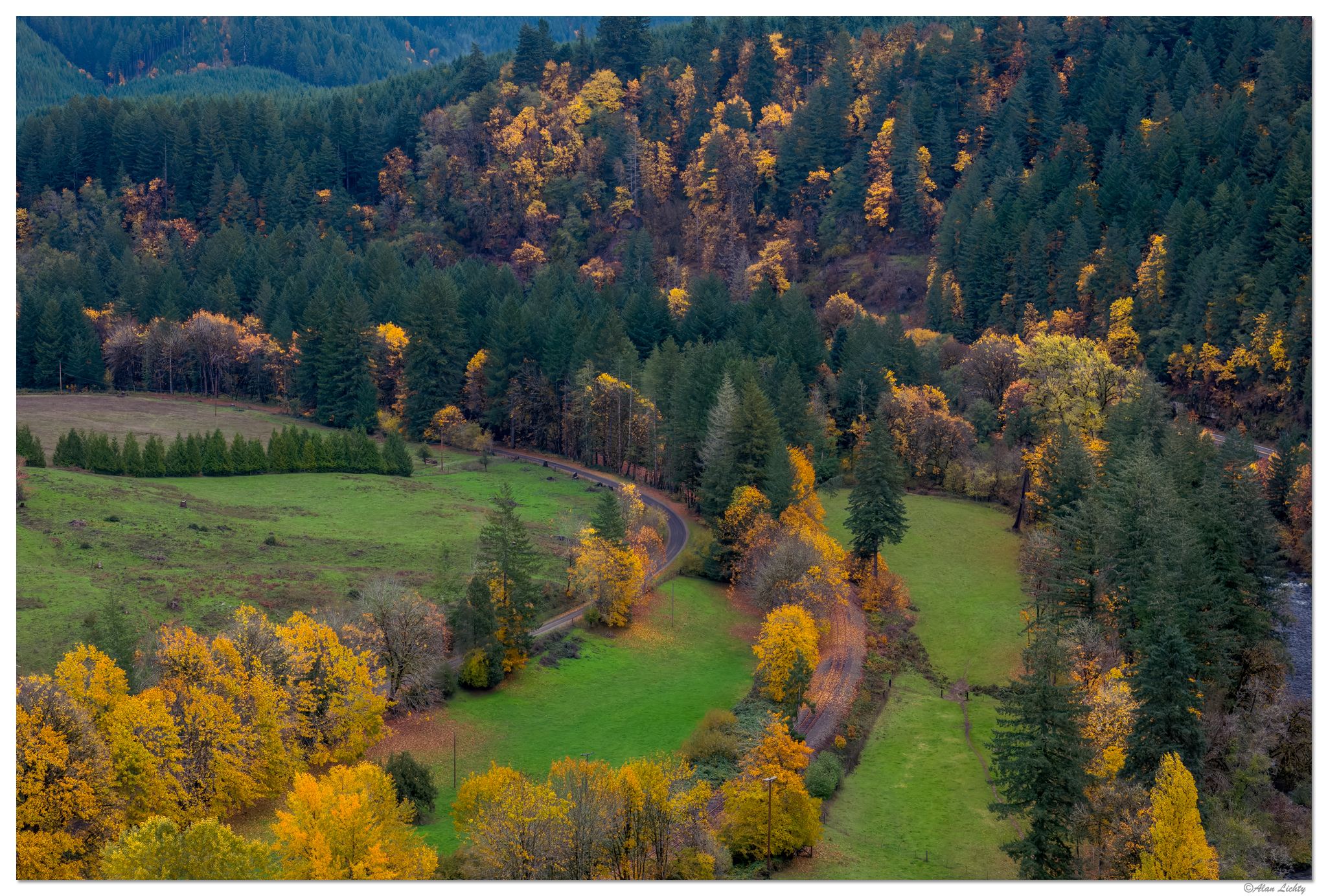 DJI_M3P_70_BigLeafMaples110523.jpg