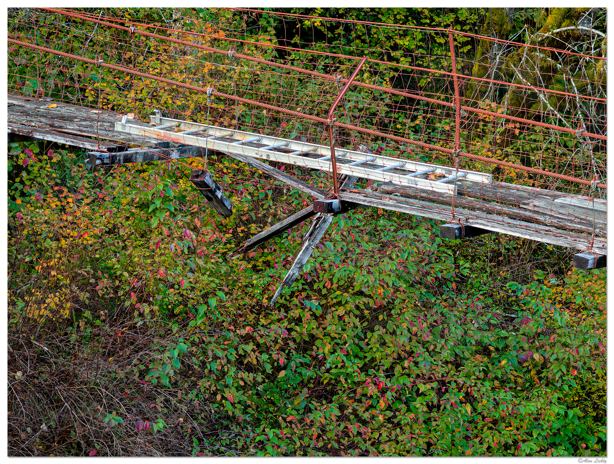 DJI_MP3_166_FBLadder3_102924.jpg