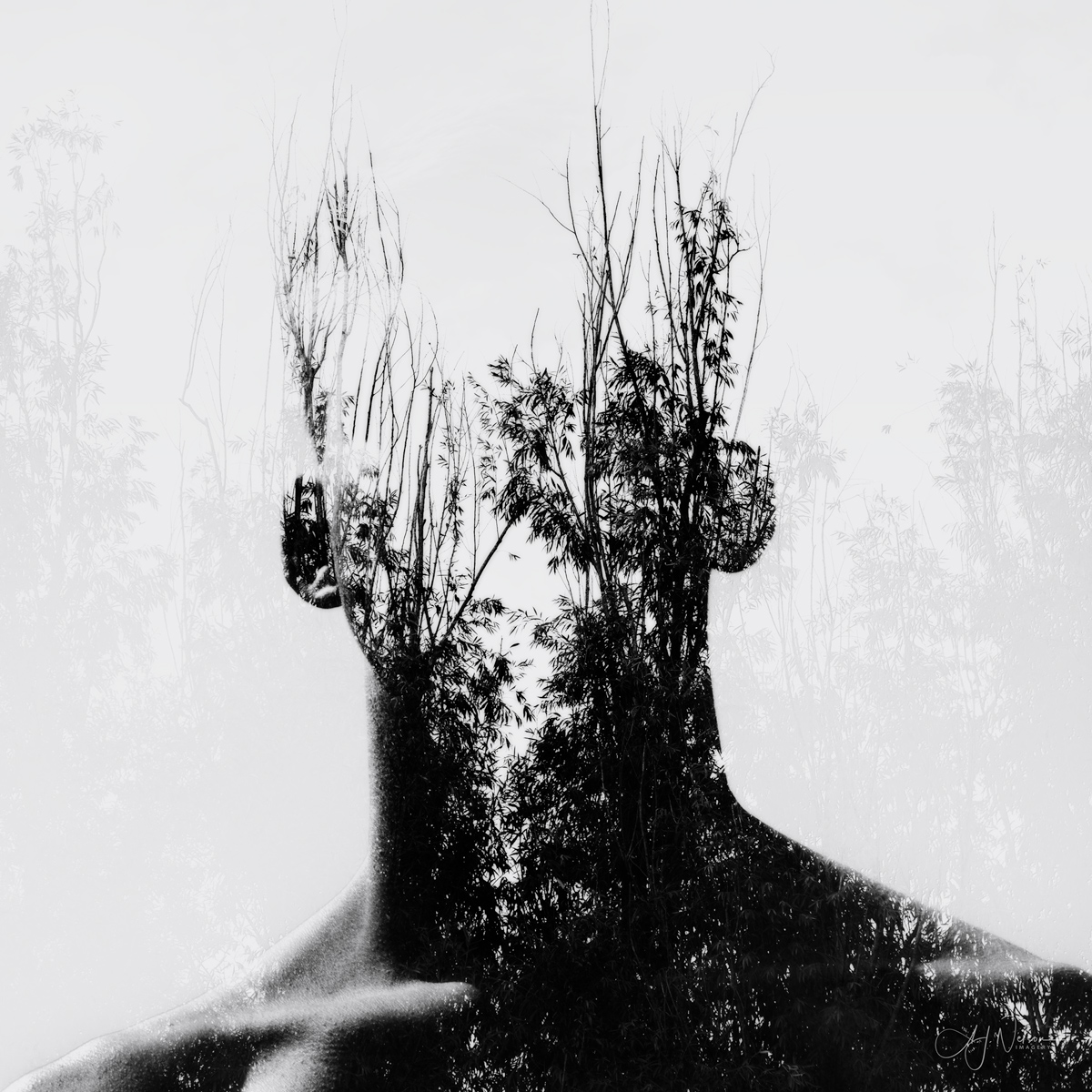 Double-Exposure---Leif---1.1.jpg