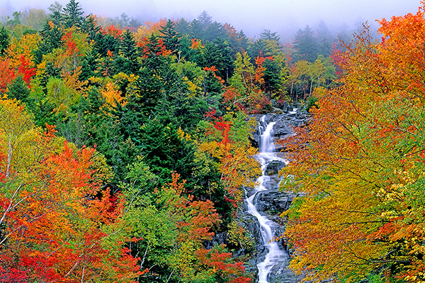 Doug_Silver Cascade N_H_600px.jpg