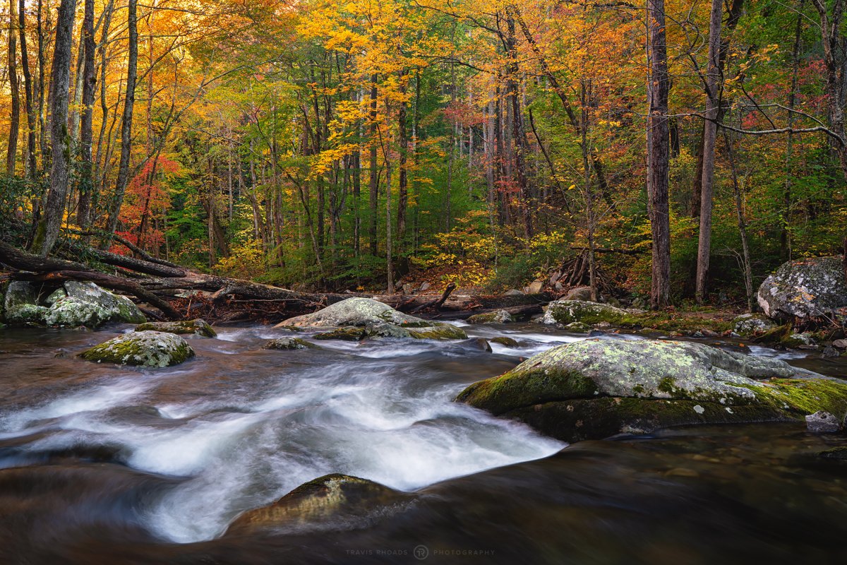DownstreamFlow-FB-IG.jpg