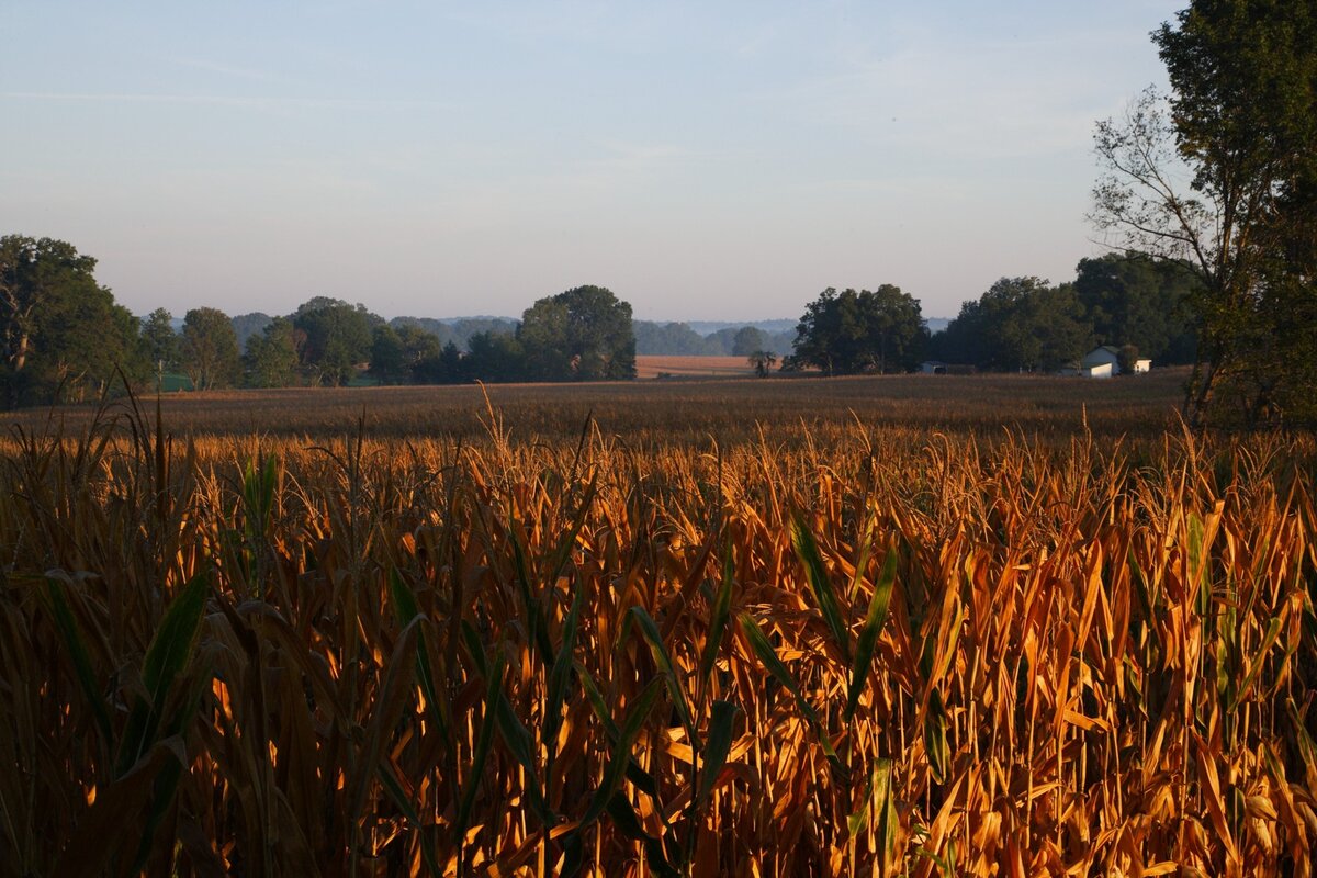 DS2_7034_110913w.JPG