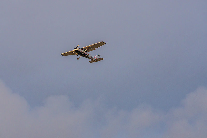 DSC00796_dw.jpg