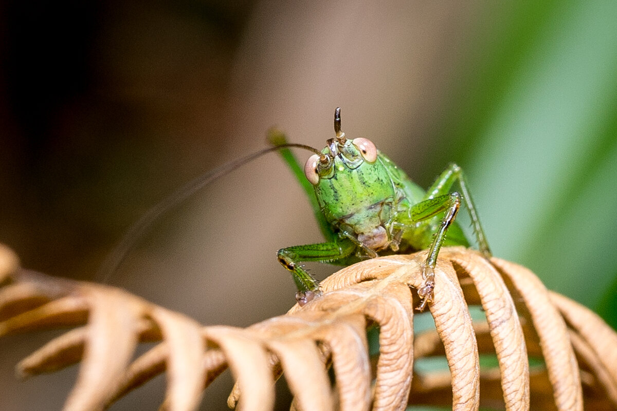 DSC01263-3.jpg
