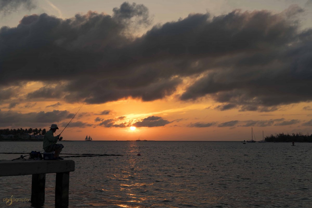 DSC02628 1mb.jpg