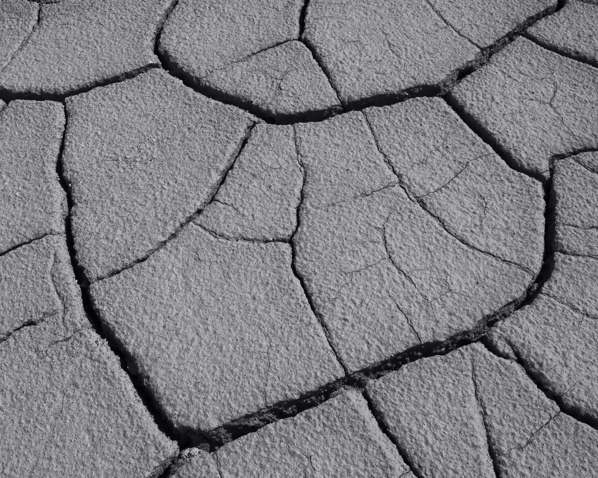 DSC07928_BW1w.jpg