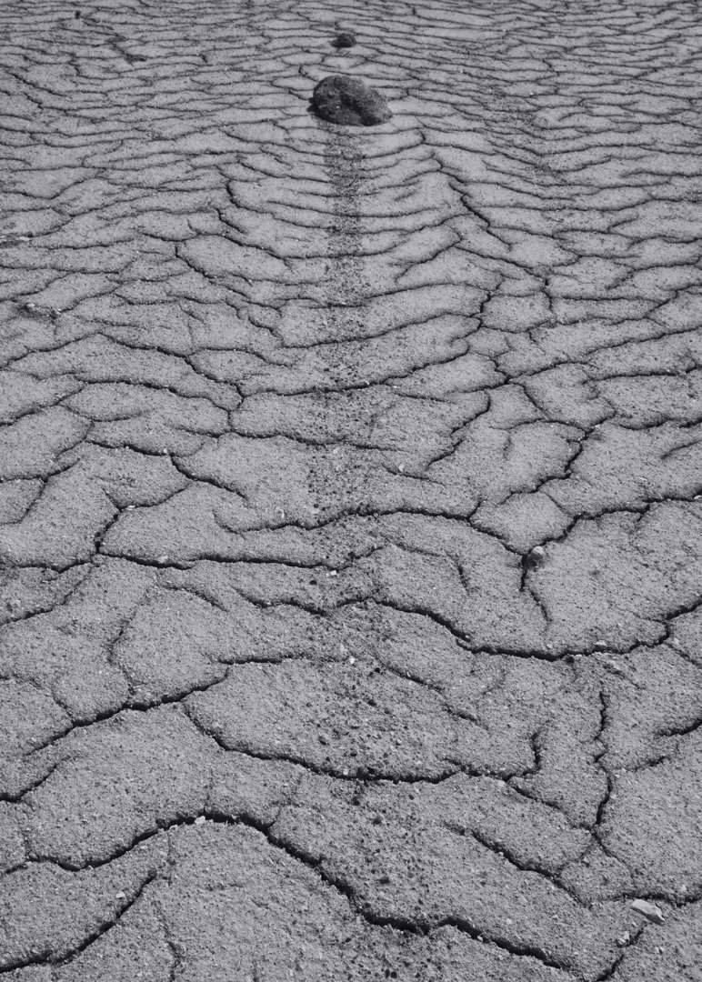 DSC07930_S1w.jpg