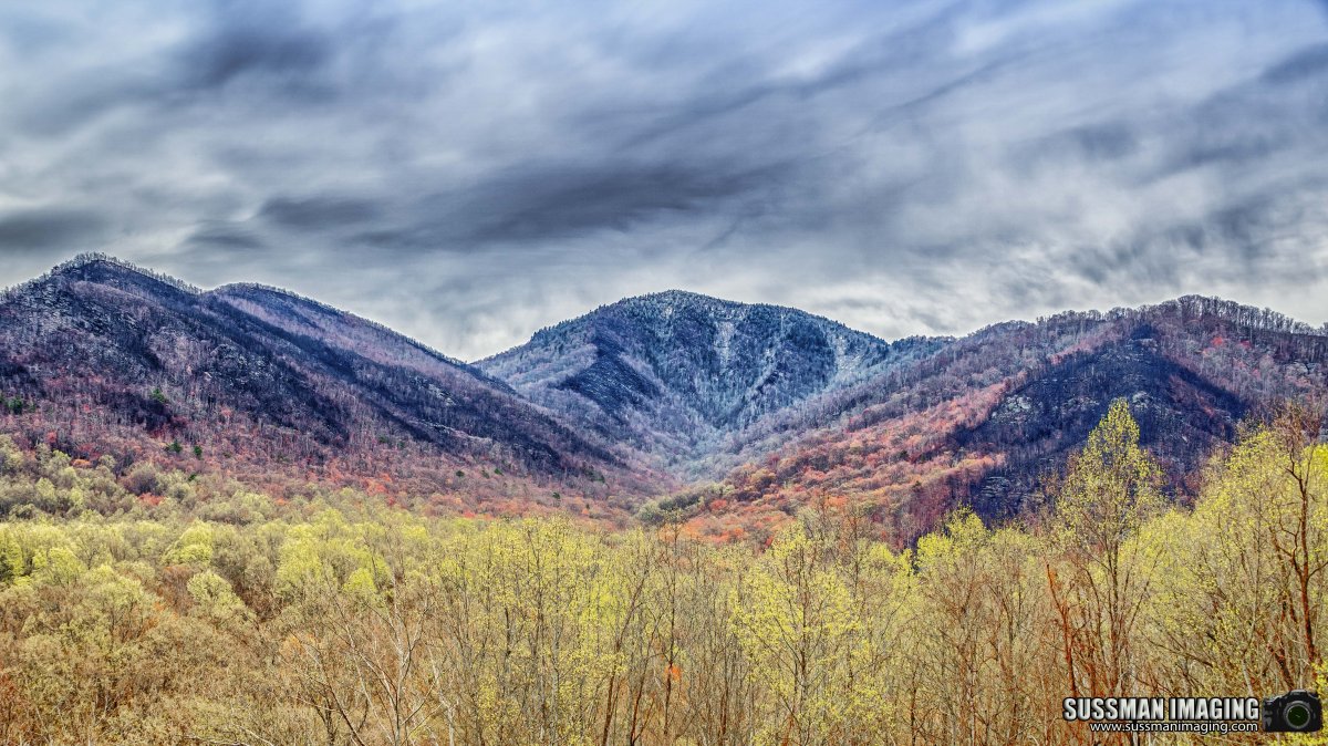 DSC09681-Edit.JPG