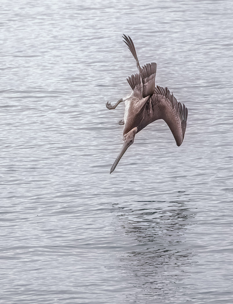 DSC09791-sharpened.jpg
