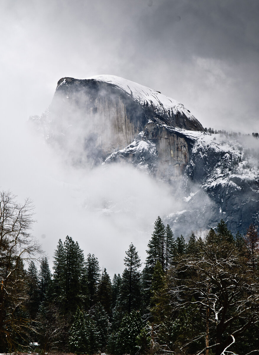 DSC_0006.jpg