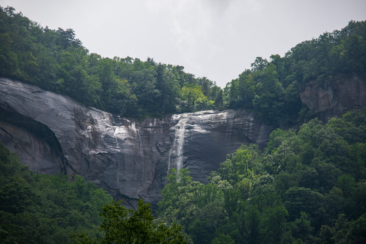 DSC_0132.jpg