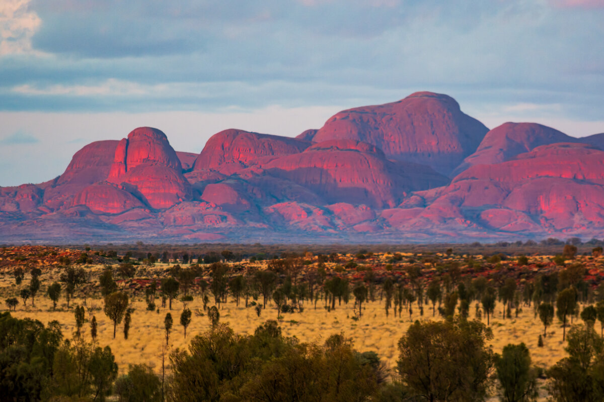 DSC_0133-DxO_DeepPRIME 3.jpg