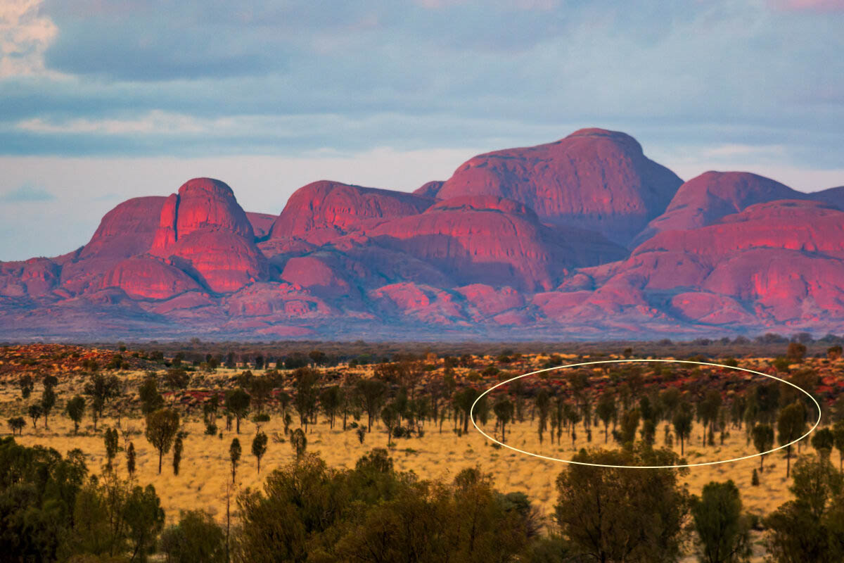 DSC_0133-DxO_DeepPRIME 3.jpg