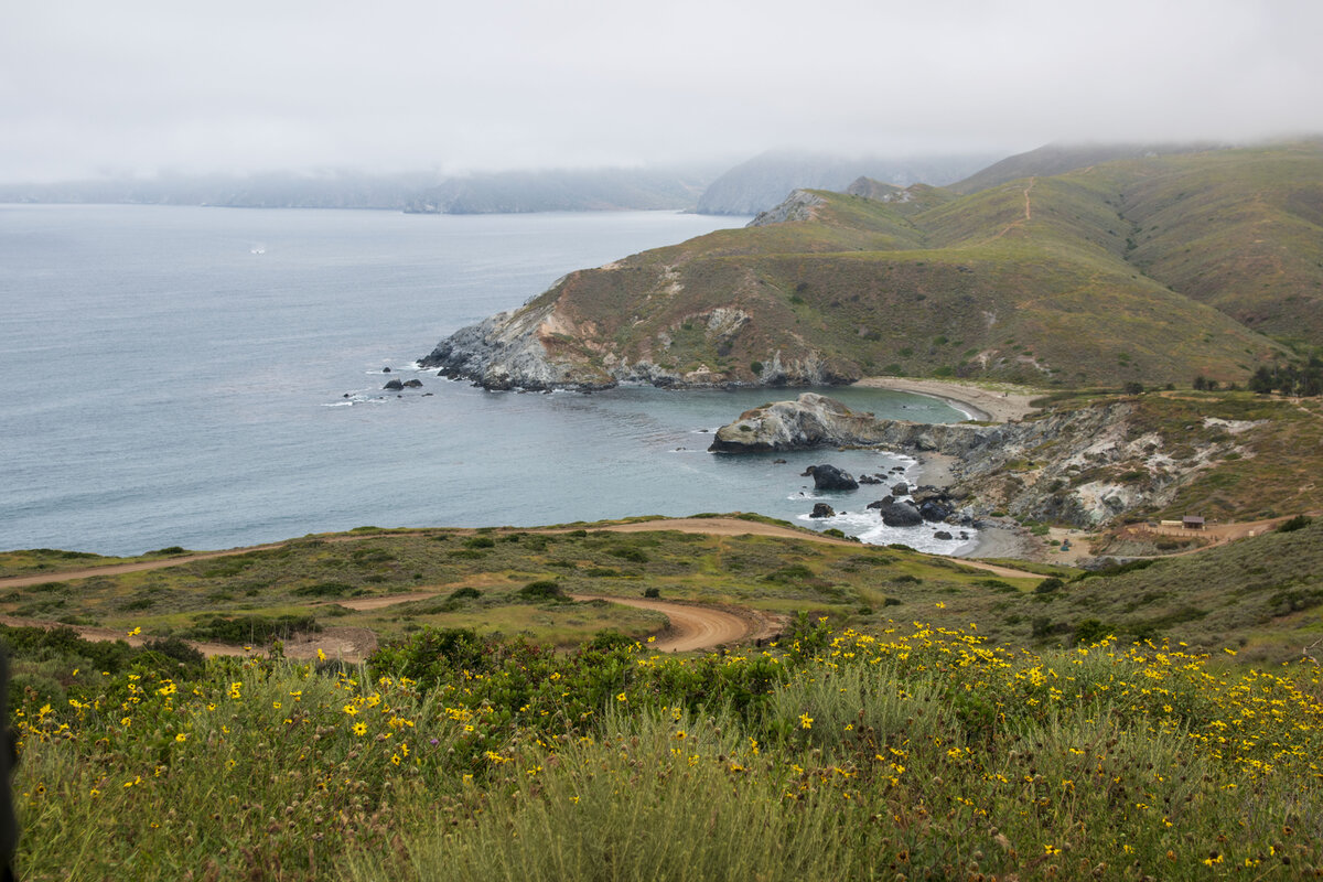 DSC_0134a.jpg