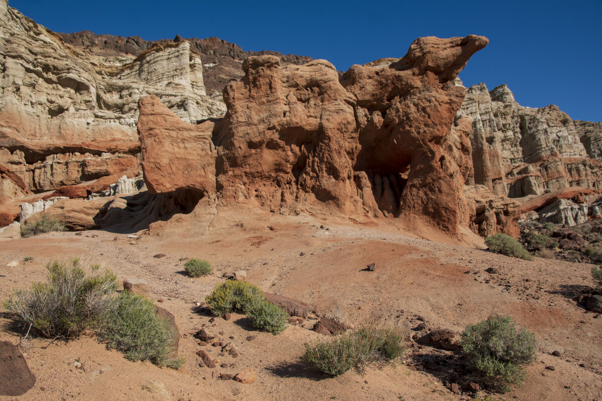 DSC_0195.jpg