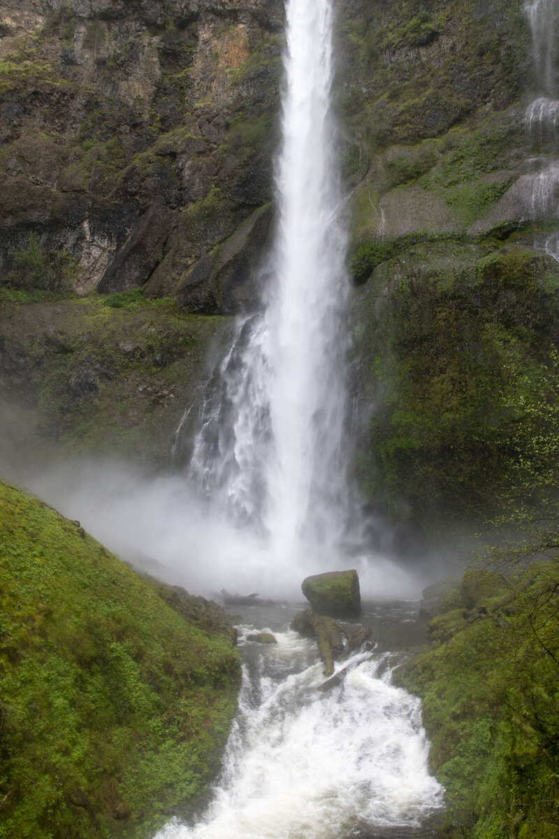 DSC_0205.jpg