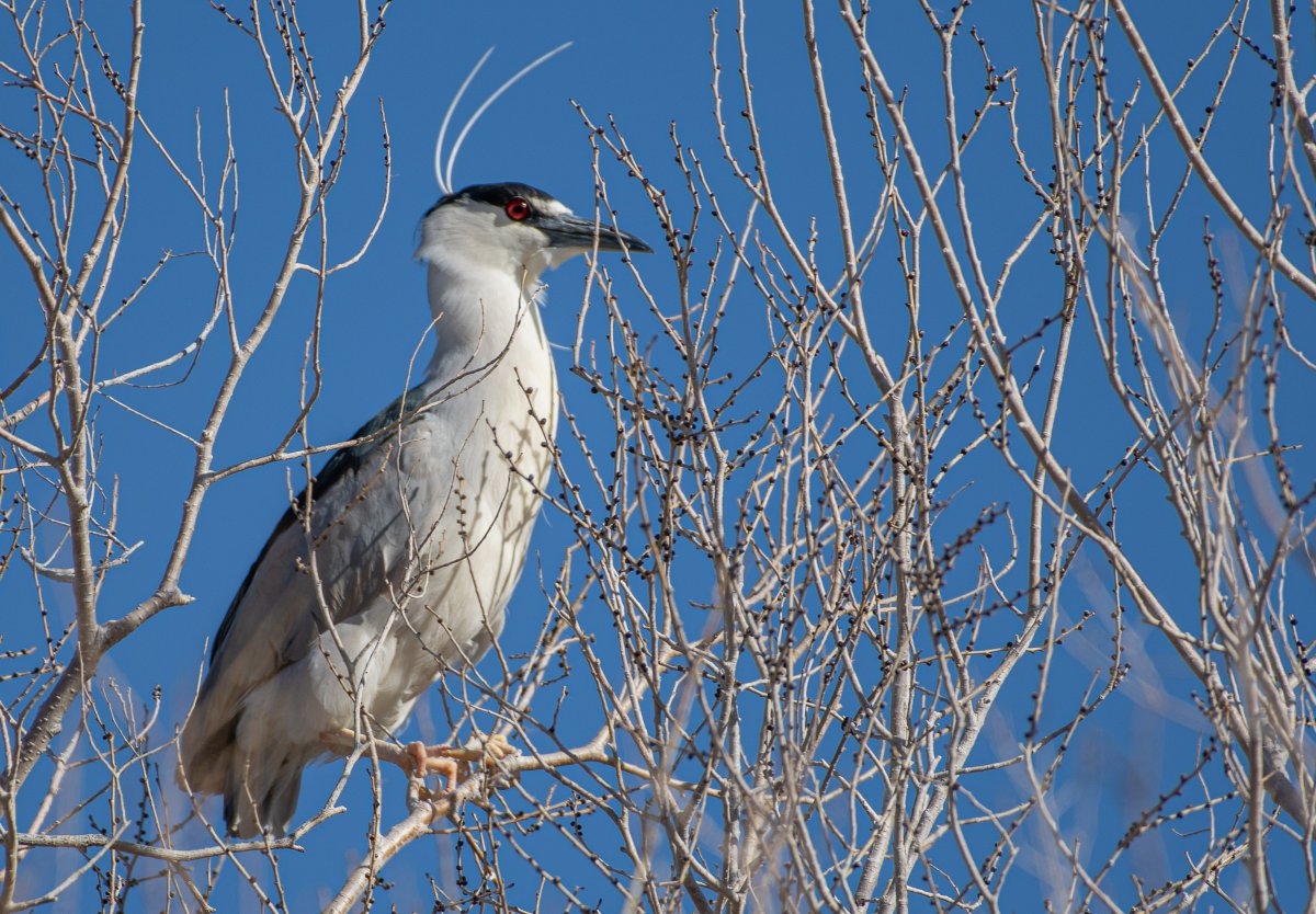 DSC_0214.jpg