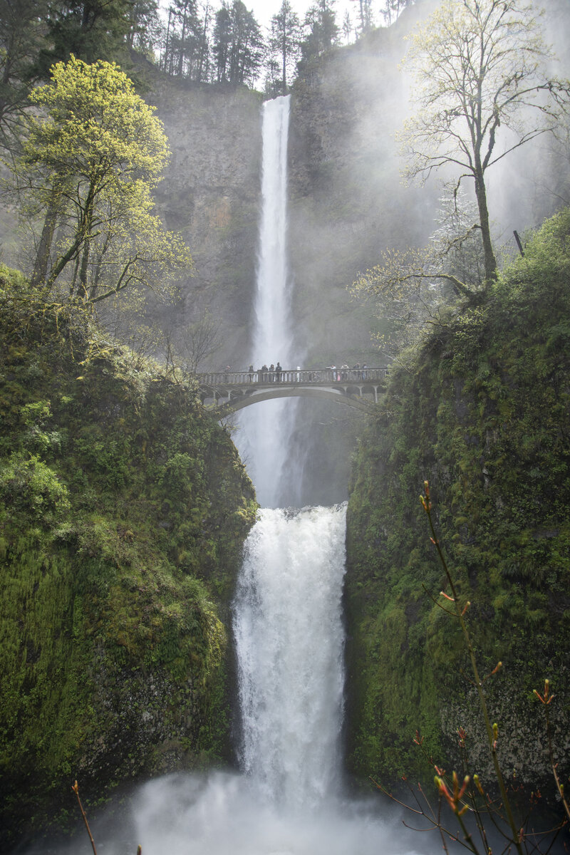 DSC_0233.jpg