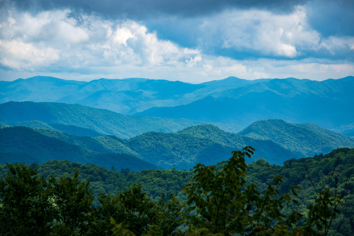 DSC_0251.jpg