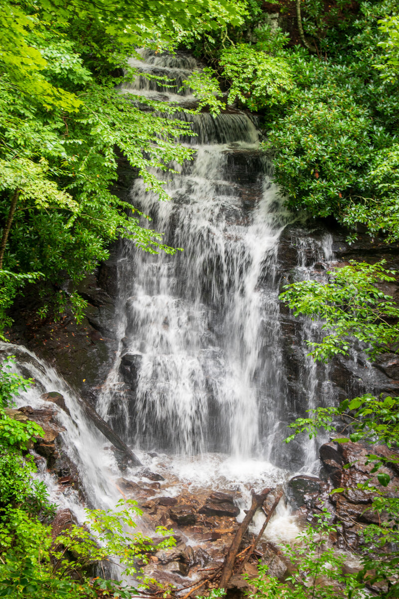 DSC_0300.jpg