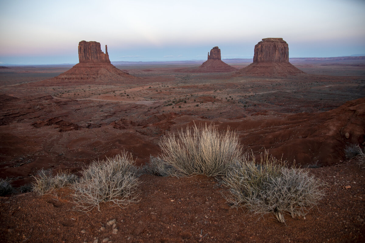 DSC_0319.jpg