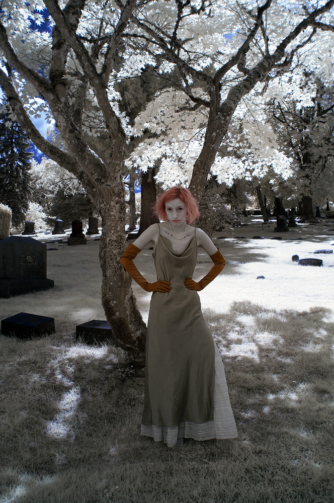 DSC_0450b.jpg