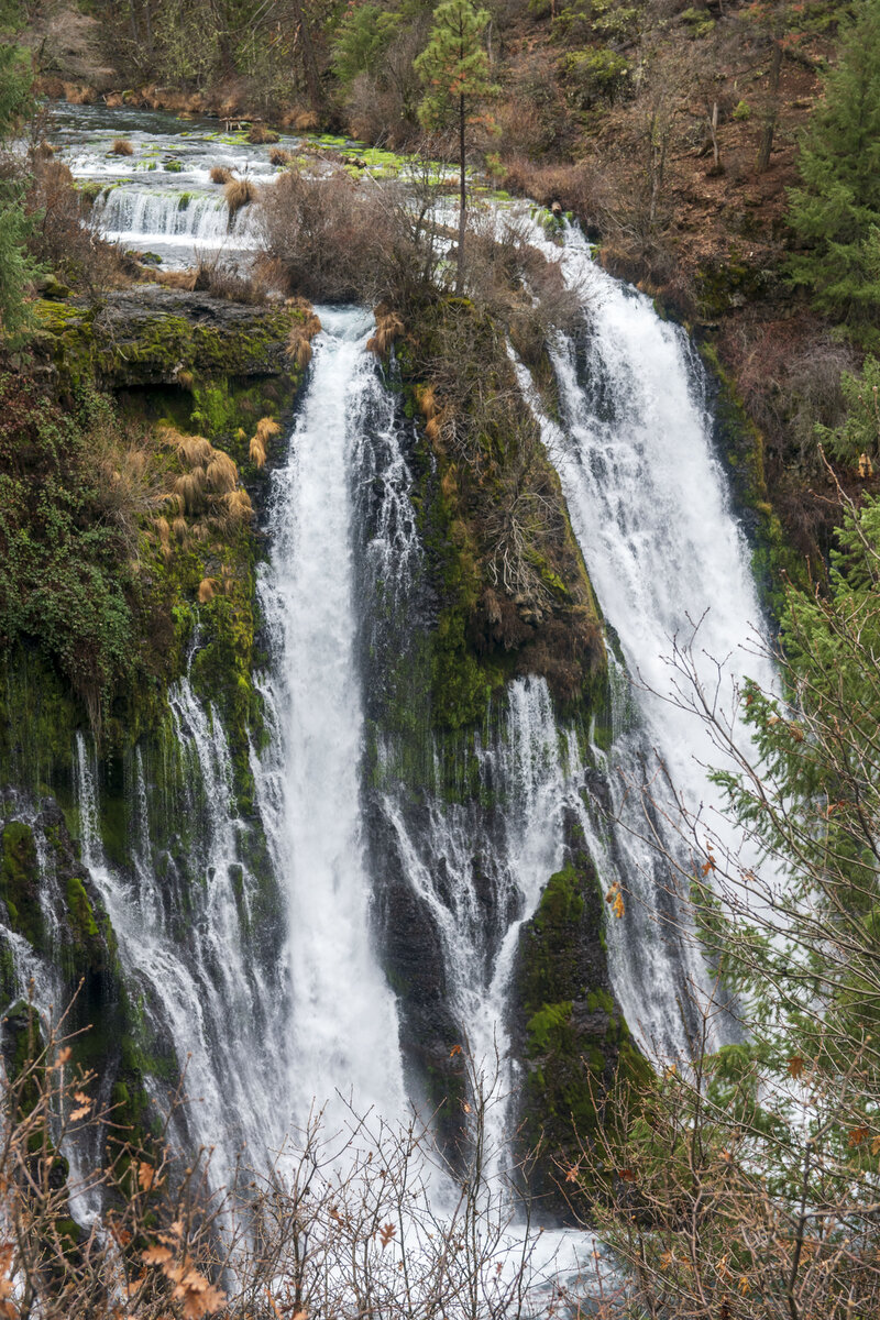 DSC_0498.jpg