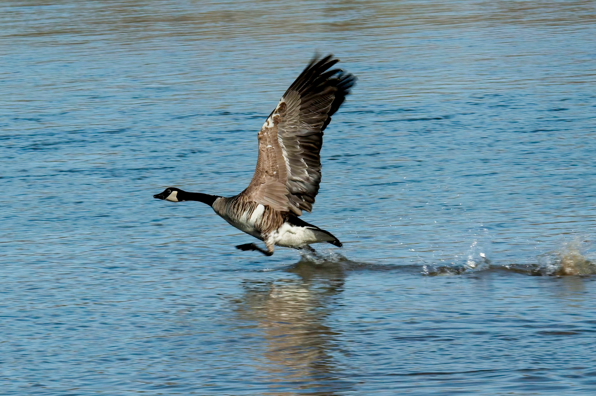DSC_0501-Edit.jpg