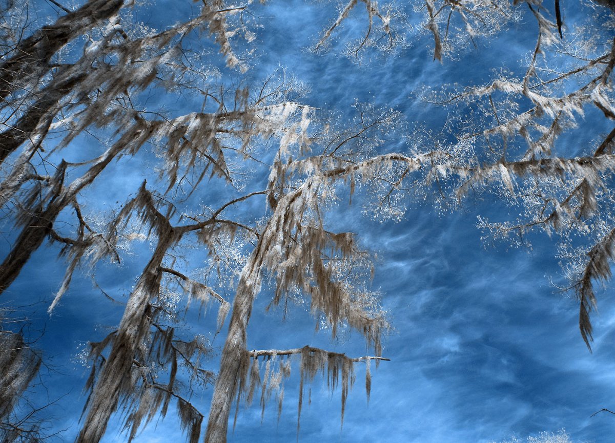 DSC_0573www.jpg