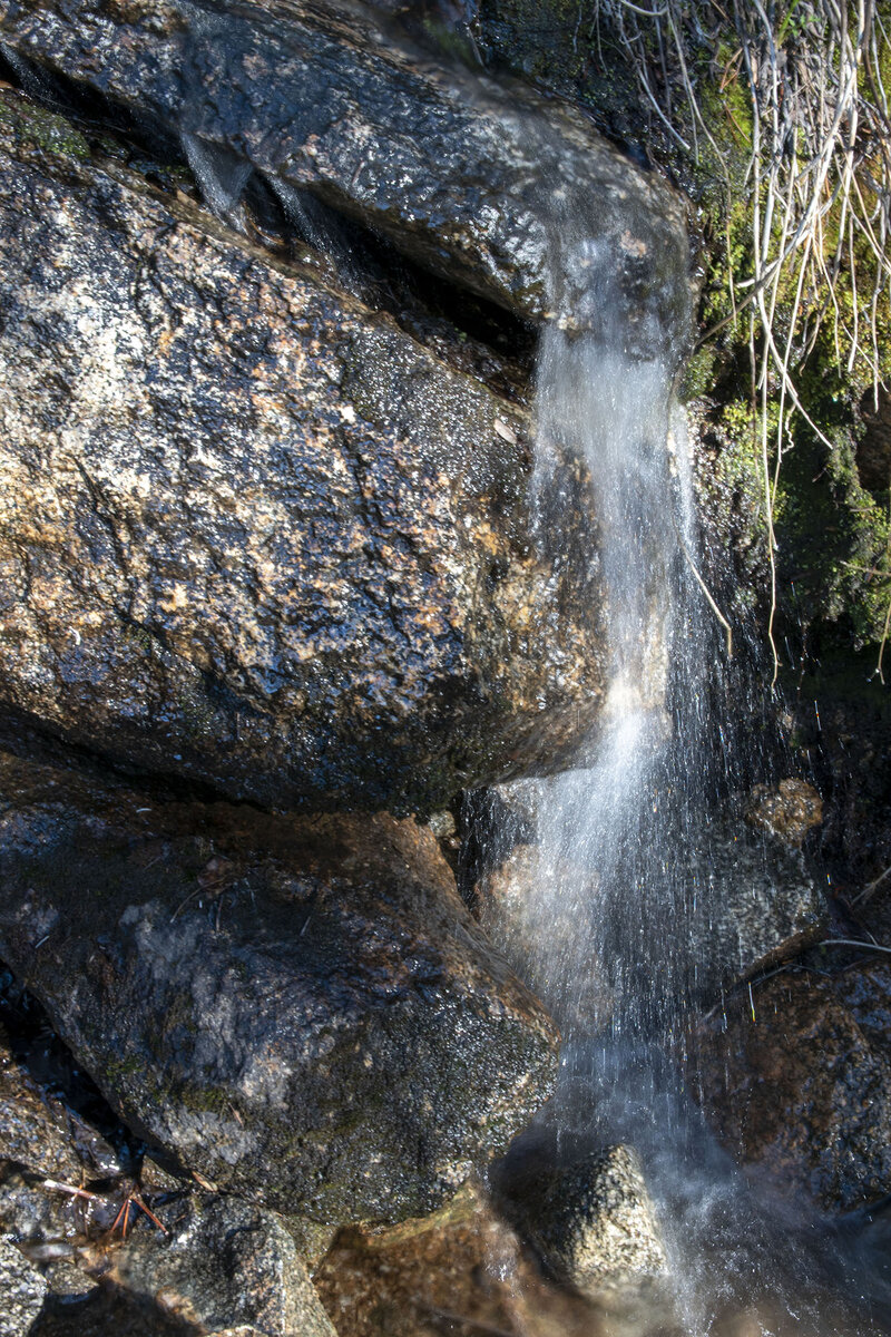DSC_0589a.jpg